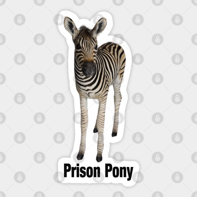 Zebra is a Prison Pony Sticker by Lucia